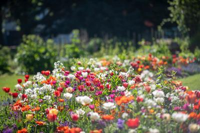 Visite du jardin botanique du Pre Delavay  Annecy