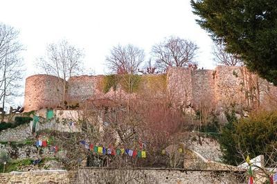 Visite du jardin Jacopin  Chateau Thierry