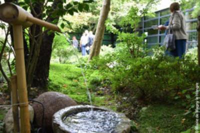 Visite du jardin japonais  Magny le Hongre