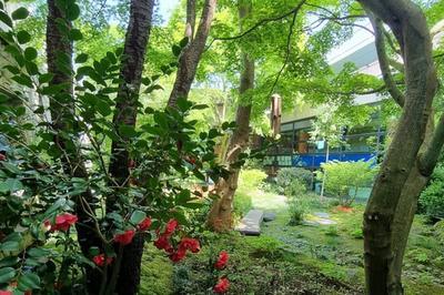 Visite du jardin japonais de Magny-le-Hongre  Magny le Hongre