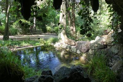 Visite du jardin remarquable des Oules  Saint Victor des Oules