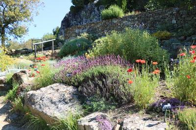 Visite du jardin sec  Simiane la Rotonde