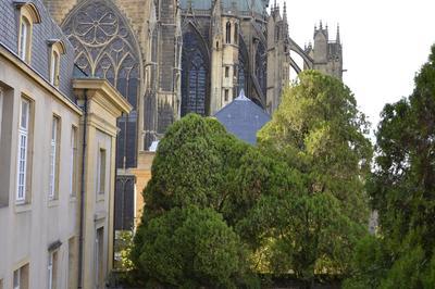 Visite Du Jardin Suspendu  Metz