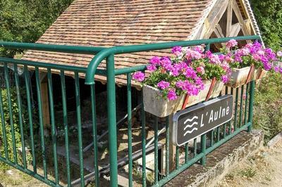 Visite du lavoir restaur  Viglain