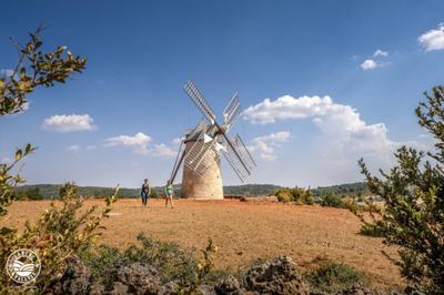 Visite du moulin de La Couvertoirade