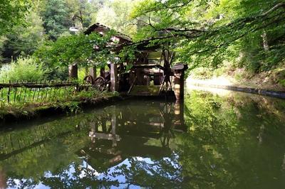 Visite du Moulin du Pinard  Saint Julien du Pinet