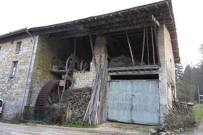 Visite du moulin Perrin, Dmonstrations scie et huile de noix  L'Abergement de Varey