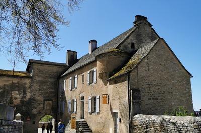 Visite du muse de la Haute-Seille  Chateau Chalon