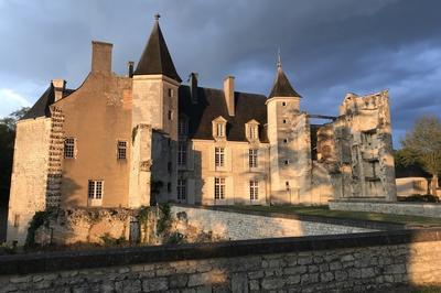 Visite du parc et des jardins du chteau du Fou  Vouneuil sur Vienne