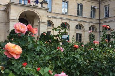 Visite du Pavillon Boncourt, hôtel de la ministre de l'enseignement supérieur et de la recherche à Paris 5ème