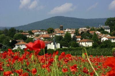 Visite du village de Marsat