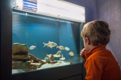 Visite famille de l'espace environnement du lac d'Annecy