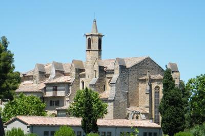 Visite Guide  Limoux