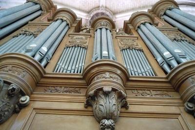 Visite guide  Laon : L'orgue de la cathdrale