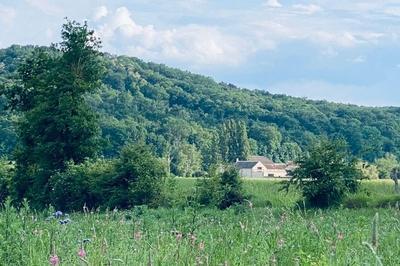 Visite guide Architecture historique en milieu rural  Moret-Loing-et-Orvanne