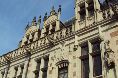 Visite guide : Blois Renaissance