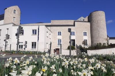 Visite guide : Blois, ville fortifie