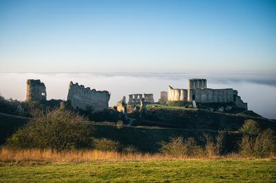 Visite guide : Chteau-Gaillard,  la croise des chemins  Les Andelys