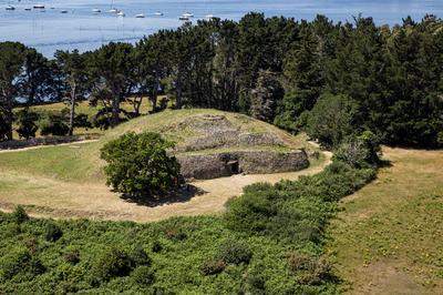 Visite guide classique au cairn de Gavrinis  Larmor Baden