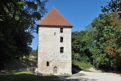 Visite guide d'un chteau qui a travers les sicles  Vignory