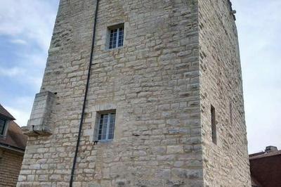 Visite guide d'un donjon mdival emblmatique  Chaumont