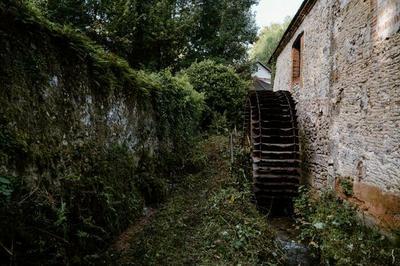 Visite guide d'un moulin  eau du XIXe sicle  Orbais l'Abbaye