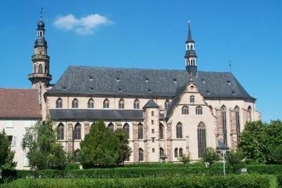 Visite Guidée D'une Ancienne Église Jésuite à Molsheim
