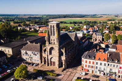 Visite guide d'une petite cit de grs rose fortifie  Phalsbourg