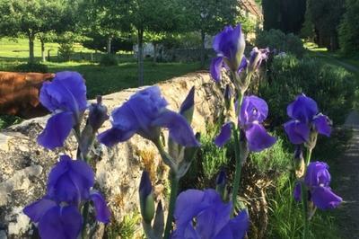 Visite guide de l'abbaye Saint-Andr en Gouffern  La Hoguette