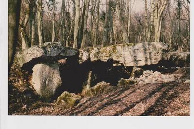 Visite guide de l'alle couverte nolithique  Vexin-sur-Epte