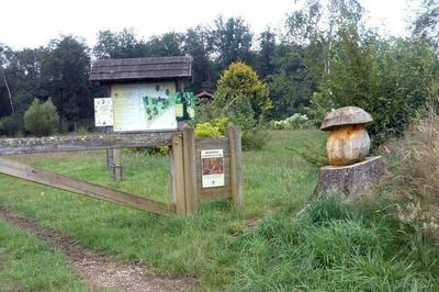 Visite guide de l'arboretum d'Etrez  Bresse Vallons