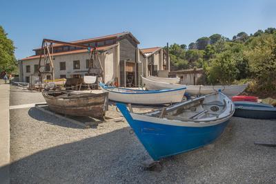 Visite guide de l'Atelier des Barques  Port Vendres