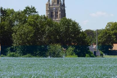 Visite guide de l'Eglise Saint Lger de Socx