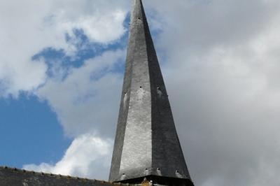 Visite guide de l'glise Saint Pierre  Steenbecque