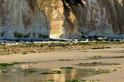 Visite guide de l'glise  Varengeville sur Mer