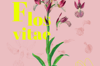 Visite guide de l'exposition flos vitae, histoire naturelle des fleurs  Nice