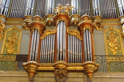 Visite Guide De L'orgue Et Mini-concert  Lodeve