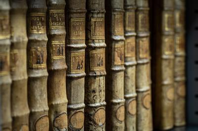 Visite guide de la bibliothque universitaire avec l'association Archimuse  Bordeaux