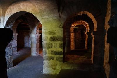 Visite guide de la crypte Saint-Andoche et des vestiges de la porte romaine de l'ouest  Autun