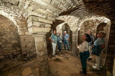 Visite guide de la crypte Saint-Avit  Orlans