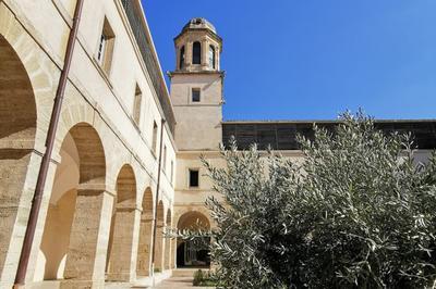 Visite guide de la facult de Droit et de Science politique  Montpellier