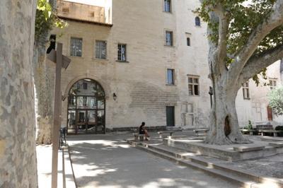 Visite guide de la livre ceccano  Avignon