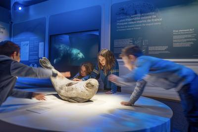 Visite guide de la Maison de la Baie de Somme  Lancheres