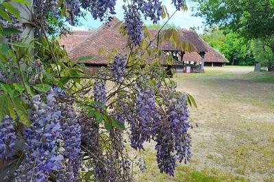 Visite guide de la Tuilerie de Pouligny  Cheniers