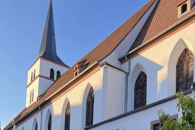 Visite guide de Saint-Guillaume (charpente et glise)  Strasbourg