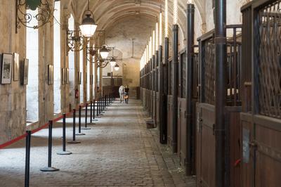 Visite guide des coulisses de l'acadmie questre  Versailles