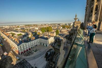 Visite guide des hauteurs de la cathdrale  Orlans