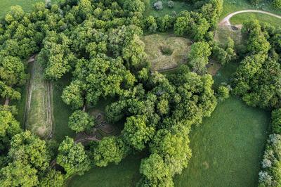 Visite guide des tumulus de Bougon