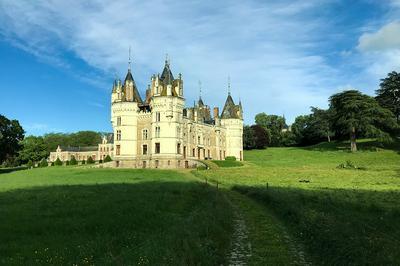 Visite guide du chteau de Chanzeaux (extrieure et intrieure)  Chemill-en-Anjou