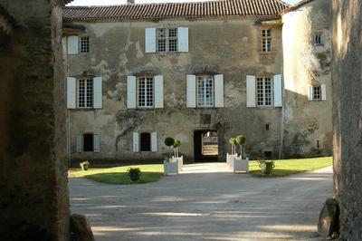 Visite guide du chteau de Massaguel